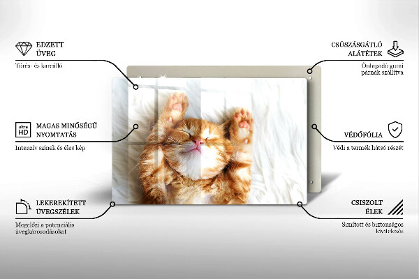 Skärbräda glas modern Liten söt kattunge