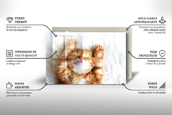 Skärbräda glas modern Liten söt kattunge