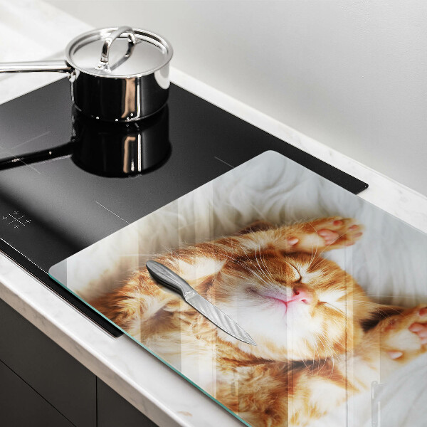 Skärbräda glas modern Liten söt kattunge