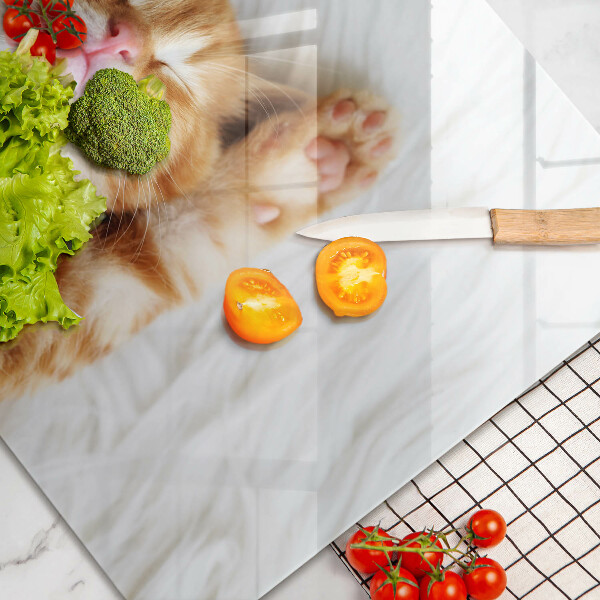 Skärbräda glas modern Liten söt kattunge