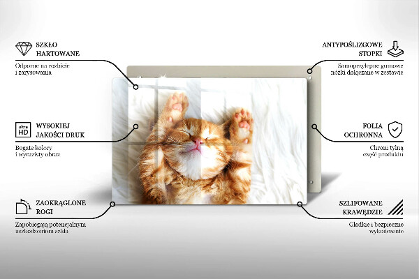 Skärbräda glas modern Liten söt kattunge