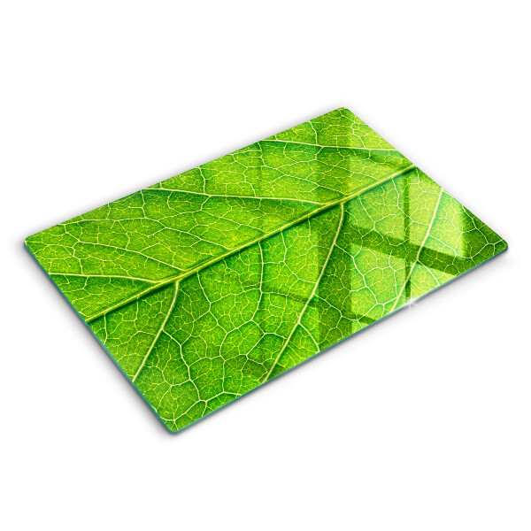Skärbräda glas modern Blad vener natur