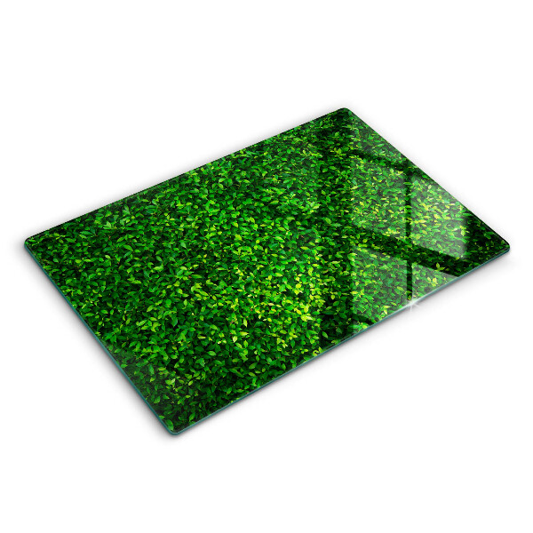 Skärbräda glas modern Plantera små blad