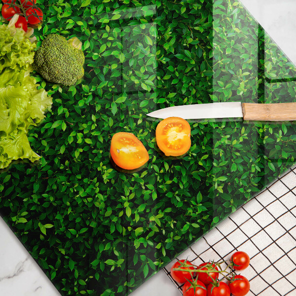 Skärbräda glas modern Plantera små blad