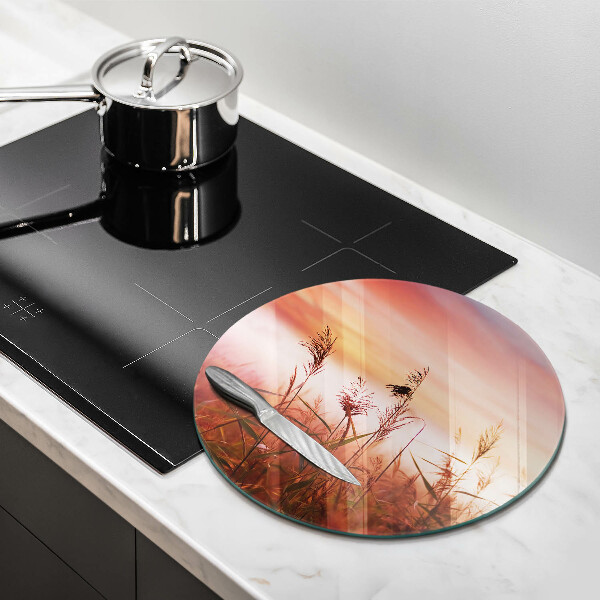 Skärbräda glas unik Landskap av gräsfält