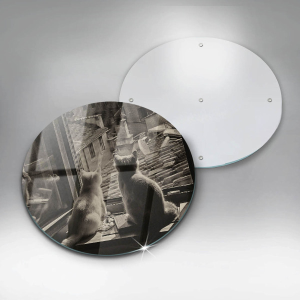 Skärbräda glas unik Katter stad och fönster