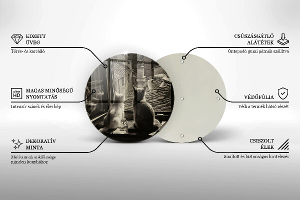 Skärbräda glas unik Katter stad och fönster