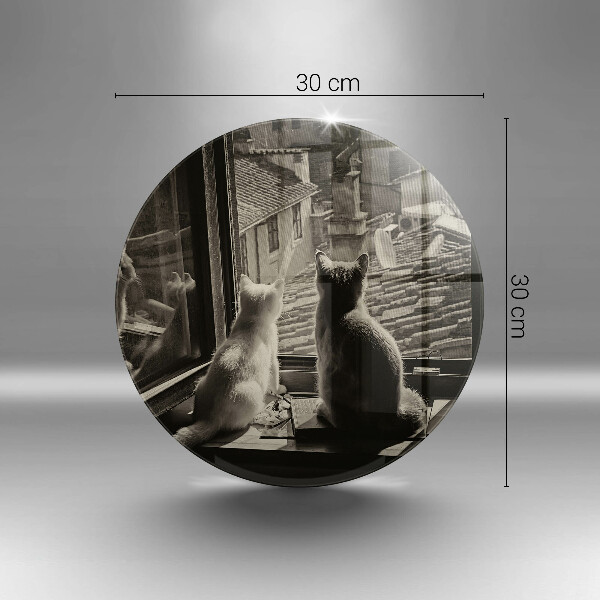 Skärbräda glas unik Katter stad och fönster