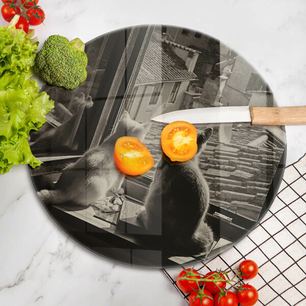 Skärbräda glas unik Katter stad och fönster