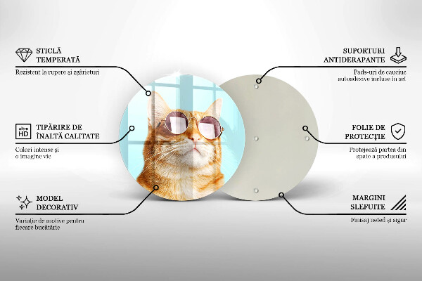 Skärbräda glas unik Röd katt med glasögon