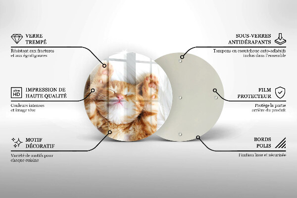 Skärbräda glas unik Liten söt kattunge