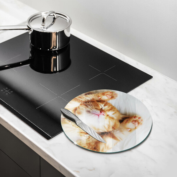 Skärbräda glas unik Liten söt kattunge