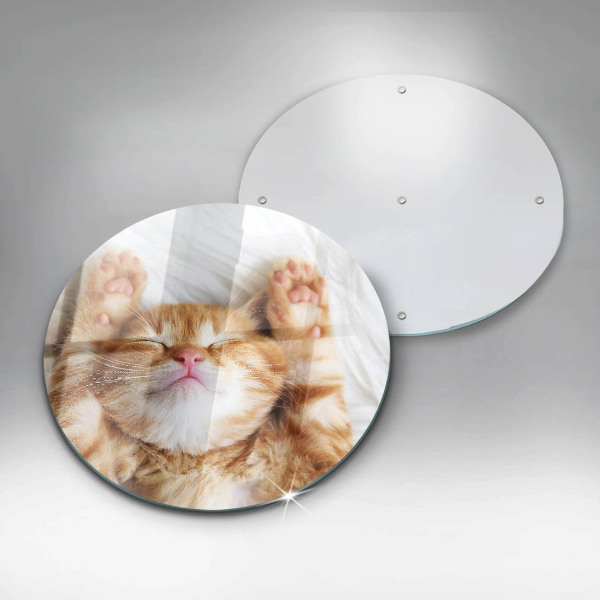 Skärbräda glas unik Liten söt kattunge