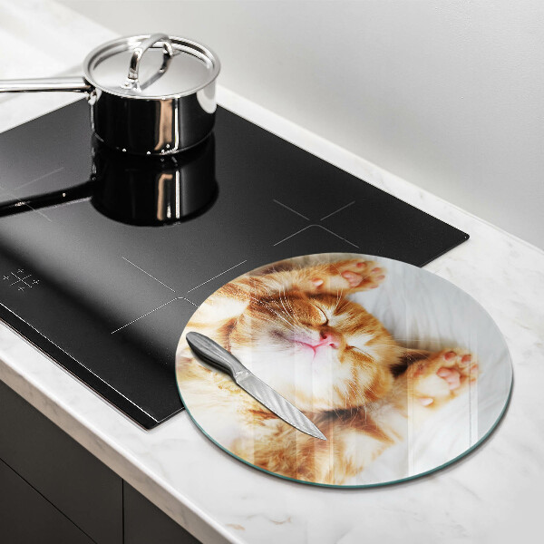 Skärbräda glas unik Liten söt kattunge