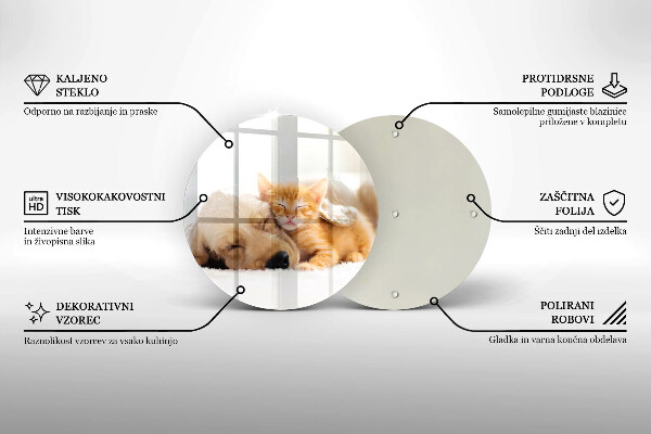 Skärbräda glas unik Djur hund och katt