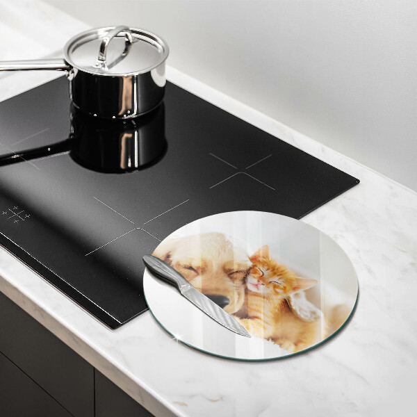 Skärbräda glas unik Djur hund och katt