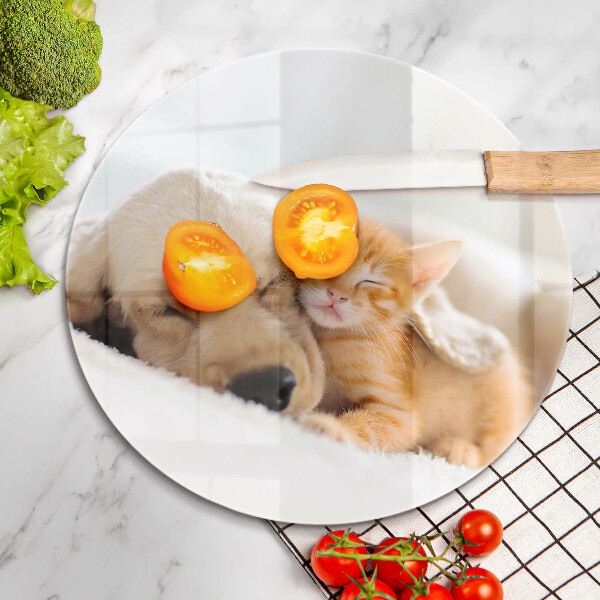 Skärbräda glas unik Djur hund och katt