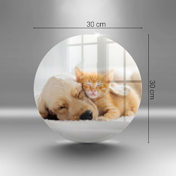 Skärbräda glas unik Djur hund och katt