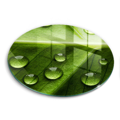 Skärbräda glas unik Natur dagg och löv