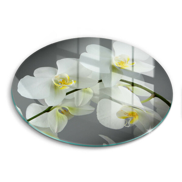 Skärbräda glas unik Vita orkidéblommor