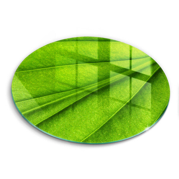 Skärbräda glas unik Natur ven blad