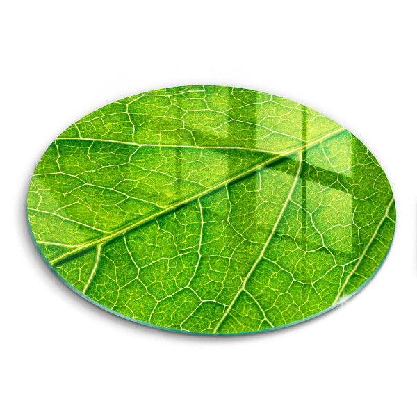 Skärbräda glas unik Natur löv vener