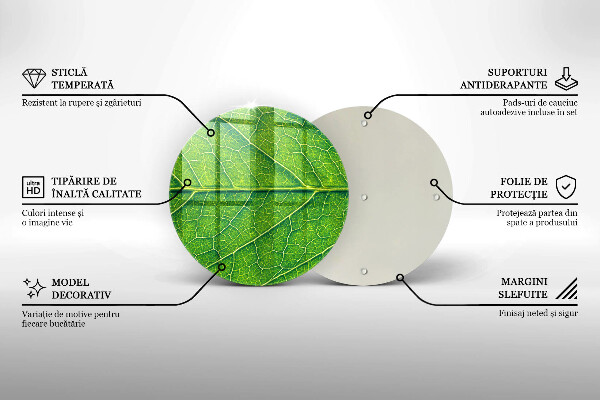Skärbräda glas unik Natur löv vener