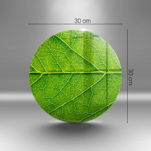 Skärbräda glas unik Natur löv vener