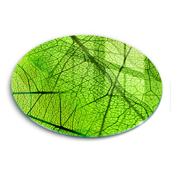 Skärbräda glas unik Natur löv vener