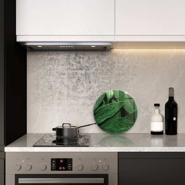 Skärbräda glas unik Växtens blad