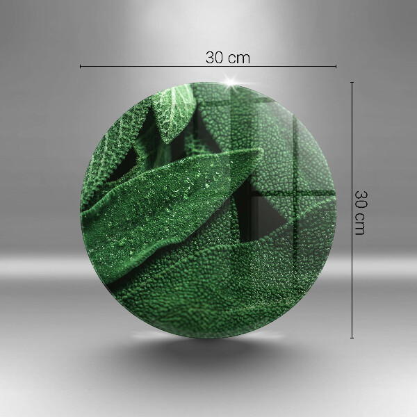 Skärbräda glas unik Växtens blad