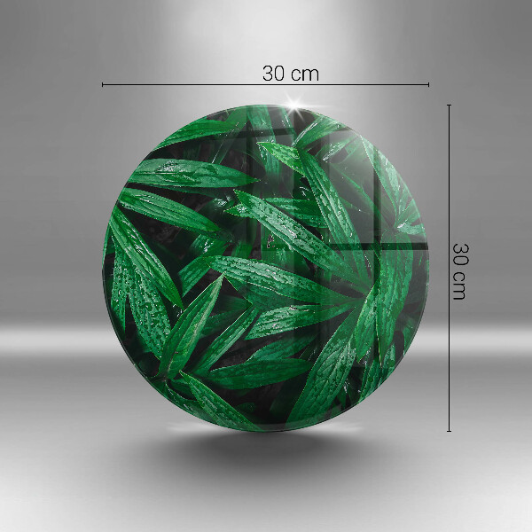 Skärbräda glas unik Växter löv