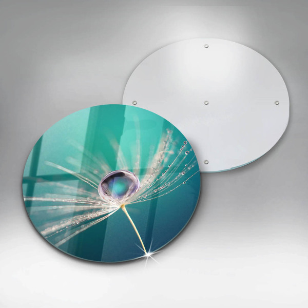 Skärbräda glas unik Dagg på en maskros