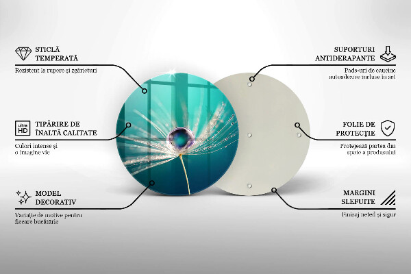 Skärbräda glas unik Dagg på en maskros