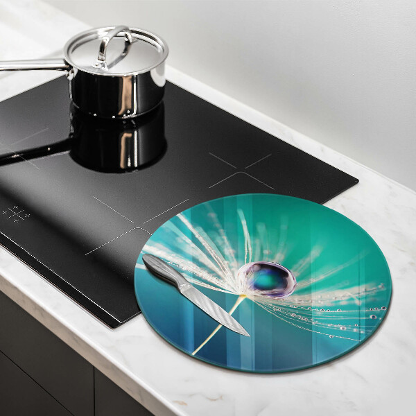 Skärbräda glas unik Dagg på en maskros