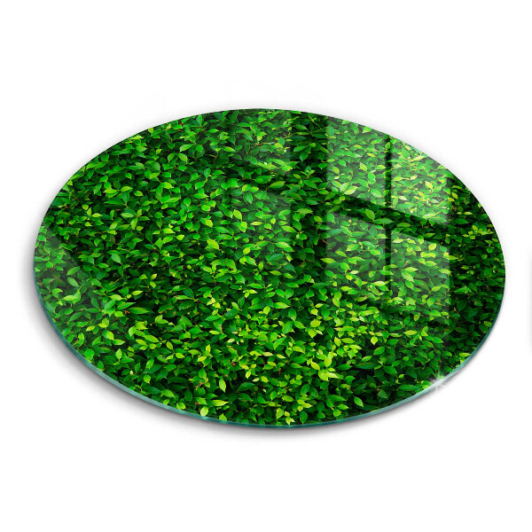 Skärbräda glas unik Plantera med små blad