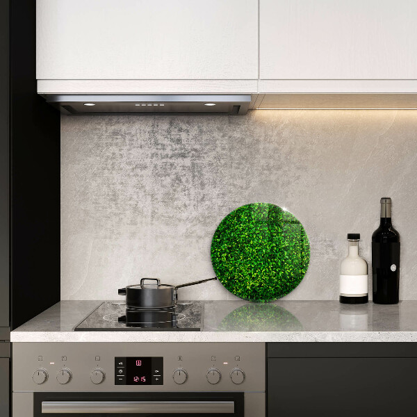 Skärbräda glas unik Plantera med små blad