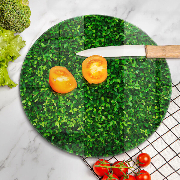 Skärbräda glas unik Plantera med små blad