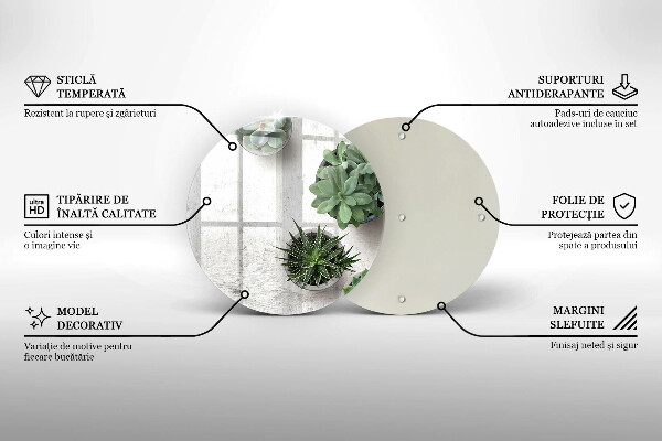 Skärbräda glas unik Suckulenter på betong