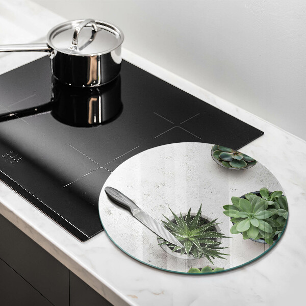 Skärbräda glas unik Suckulenter på betong