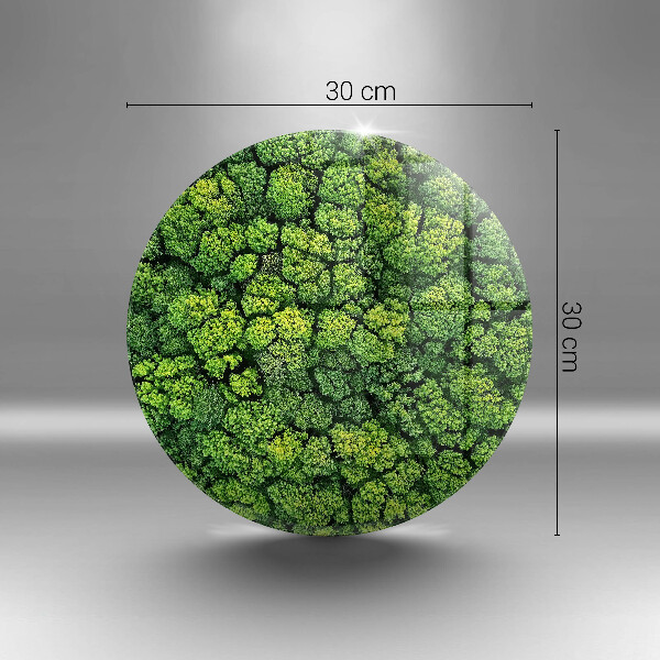 Skärbräda glas unik Naturmossaväxt