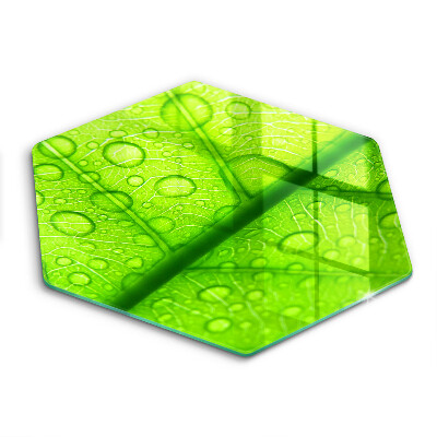 Skärbräda glas sexhörning Närbild av ett löv