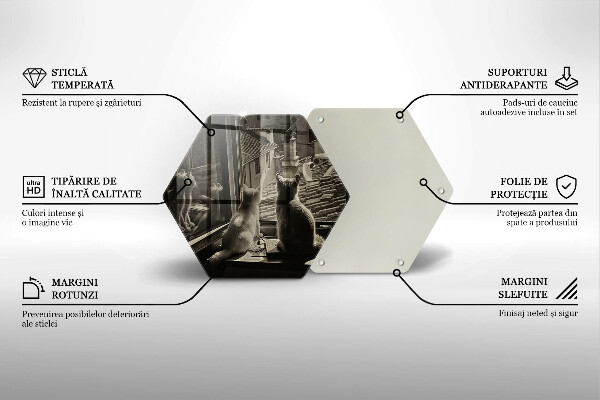 Skärbräda glas sexhörning Katter stad och fönster