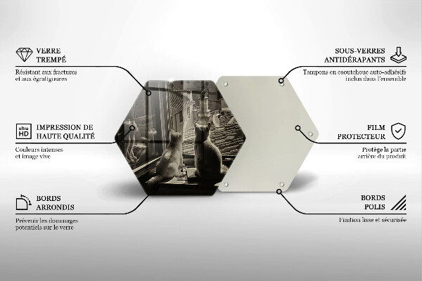 Skärbräda glas sexhörning Katter stad och fönster