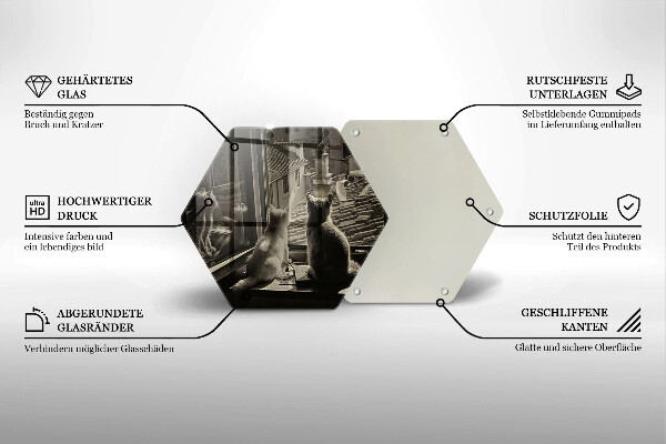 Skärbräda glas sexhörning Katter stad och fönster