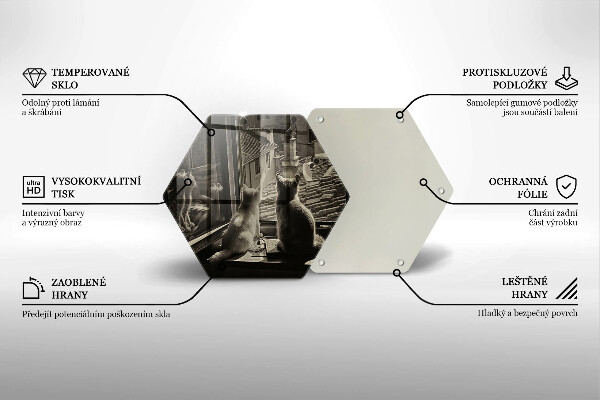 Skärbräda glas sexhörning Katter stad och fönster