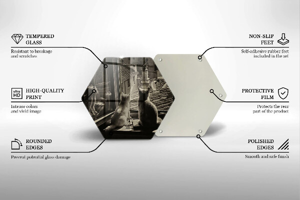 Skärbräda glas sexhörning Katter stad och fönster