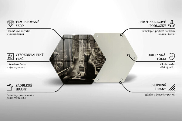 Skärbräda glas sexhörning Katter stad och fönster