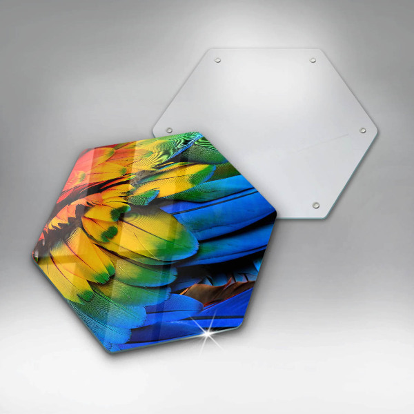Skärbräda glas sexhörning Färgglada papegojfjädrar