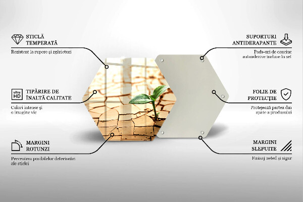 Skärbräda glas sexhörning En ensam växt